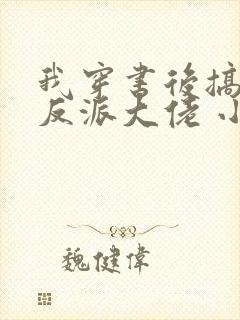 我穿书后搞到了反派大佬 小说