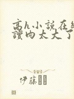 高h小说在线阅读肉太大了高h封面