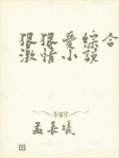 狠狠爱综合都市激情小说