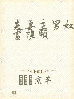 夫妻主男奴结合处视频