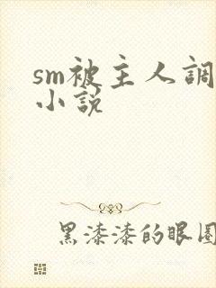 sm被主人调教小说