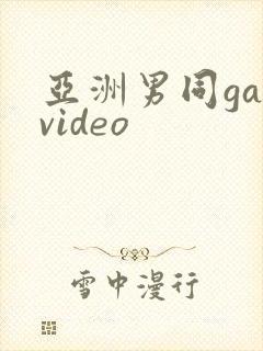 亚洲男同gayvideo