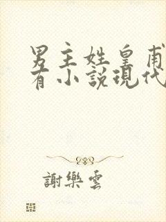 男主姓皇甫的所有小说现代言情封面