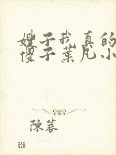 嫂子我真的不是傻子叶凡小说 原名