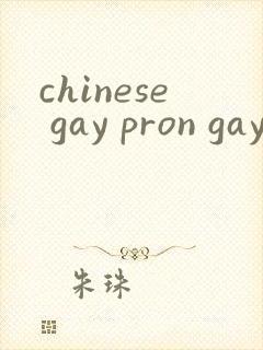 chinese gay pron gay封面