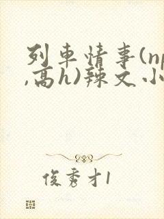 列车情事(np,高h)辣文小