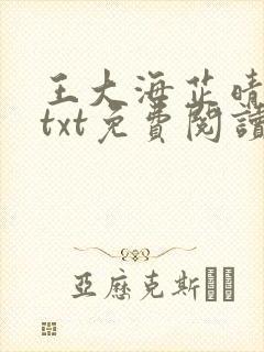 王大海芷晴小说txt免费阅读最新章节