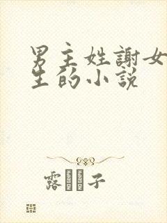 男主姓谢女主重生的小说