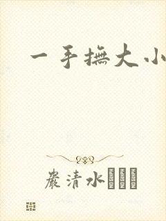 一手抚大小说