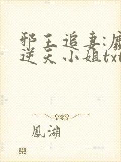 邪王追妻:废材逆天小姐txt封面