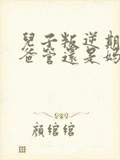 儿子叛逆期是爸爸管还是妈妈管