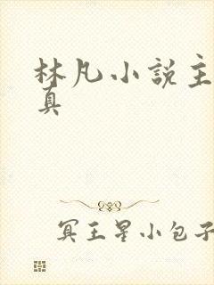 林凡小说主角修真封面