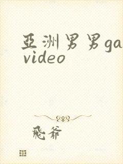 亚洲男男gay video