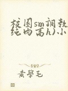校园sm调教(纯肉高h)小说