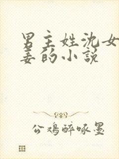 男主姓沈女主姓姜的小说