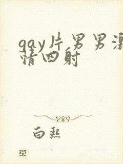 gay片男男激情四射封面