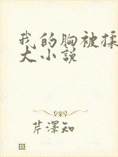 我的胸被揉的好大小说