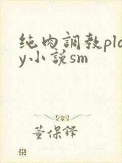 纯肉调教play小说sm