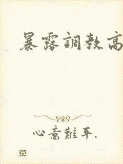 暴露调教高h文封面