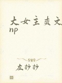 大女主爽文高hnp