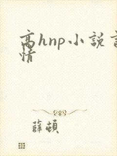 高hnp小说言情