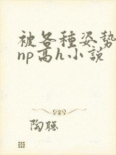 被各种姿势玩弄np高h小说