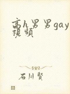 高h男男gay视频