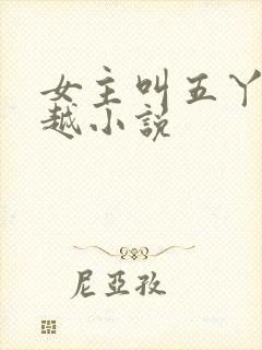 女主叫五丫的穿越小说封面
