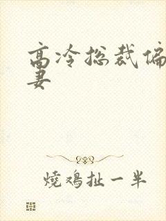 高冷总裁偏宠甜妻封面