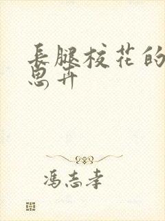 长腿校花的呻吟思卉