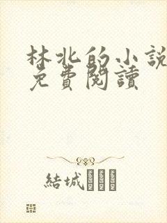 林北的小说全文免费阅读