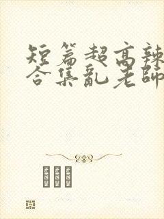 短篇超高辣h文合集乱老师封面