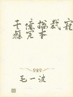 千亿总裁宠妻上瘾完本