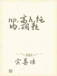 np,高h,纯肉,调教封面