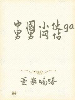 中国小伙gay男男网站