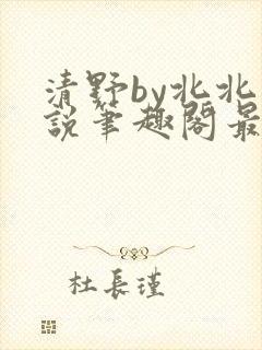 清野by北北小说笔趣阁最新章节