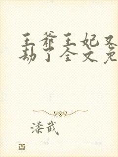 王爷王妃又去打劫了全文免费阅读