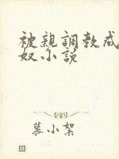 被亲调教成她的奴小说封面