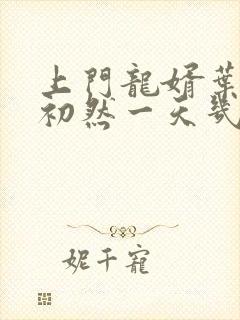 上门龙婿叶辰萧初然一天几集