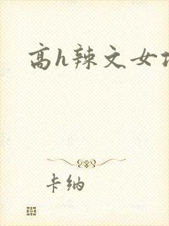 高h辣文女攻