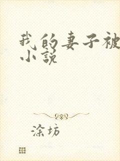 我的妻子被调教小说封面