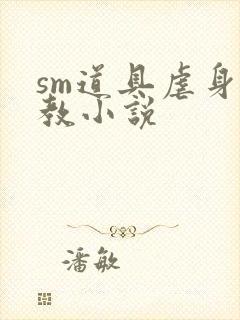 sm道具虐身调教小说封面