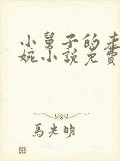 小舅子的老婆苏婉小说免费阅读封面