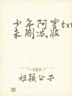 少年阿宾txt未删减版