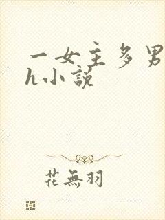 一女主多男主高h小说