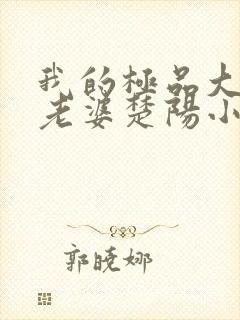 我的极品大小姐老婆楚阳小说阅读