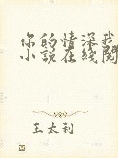 你的情深我不配小说在线阅读