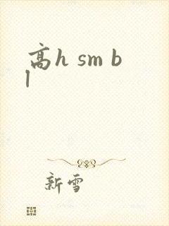 高h sm bl