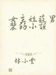 女主姓苏男主姓裴的小说