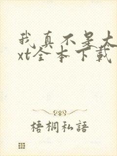 我真不是大佬txt全本下载